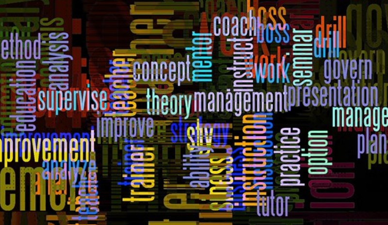 The Importance of Good Mentors in Developing a Corporate Career