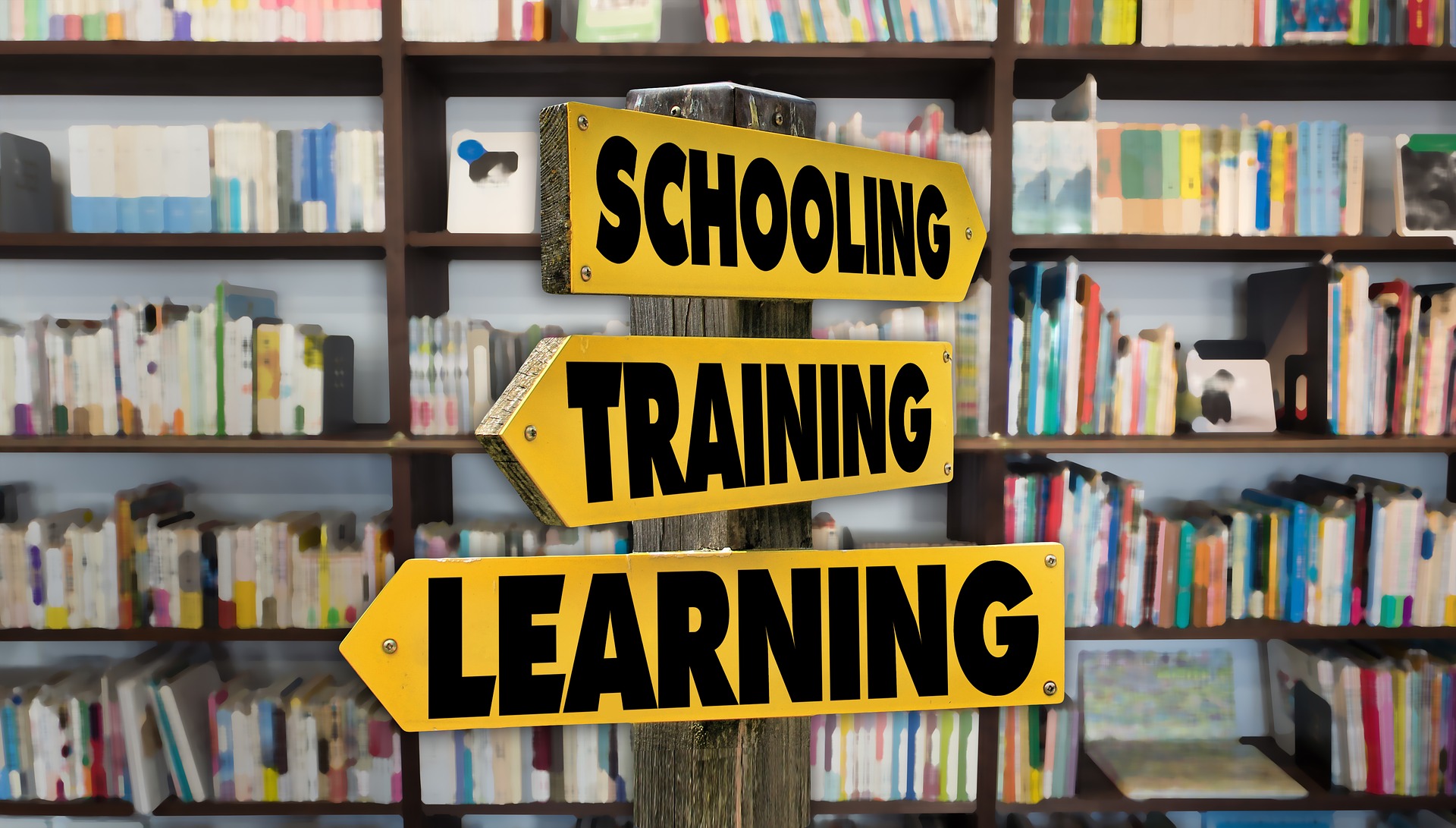 Negotiation Benefits: RTO Training Packages